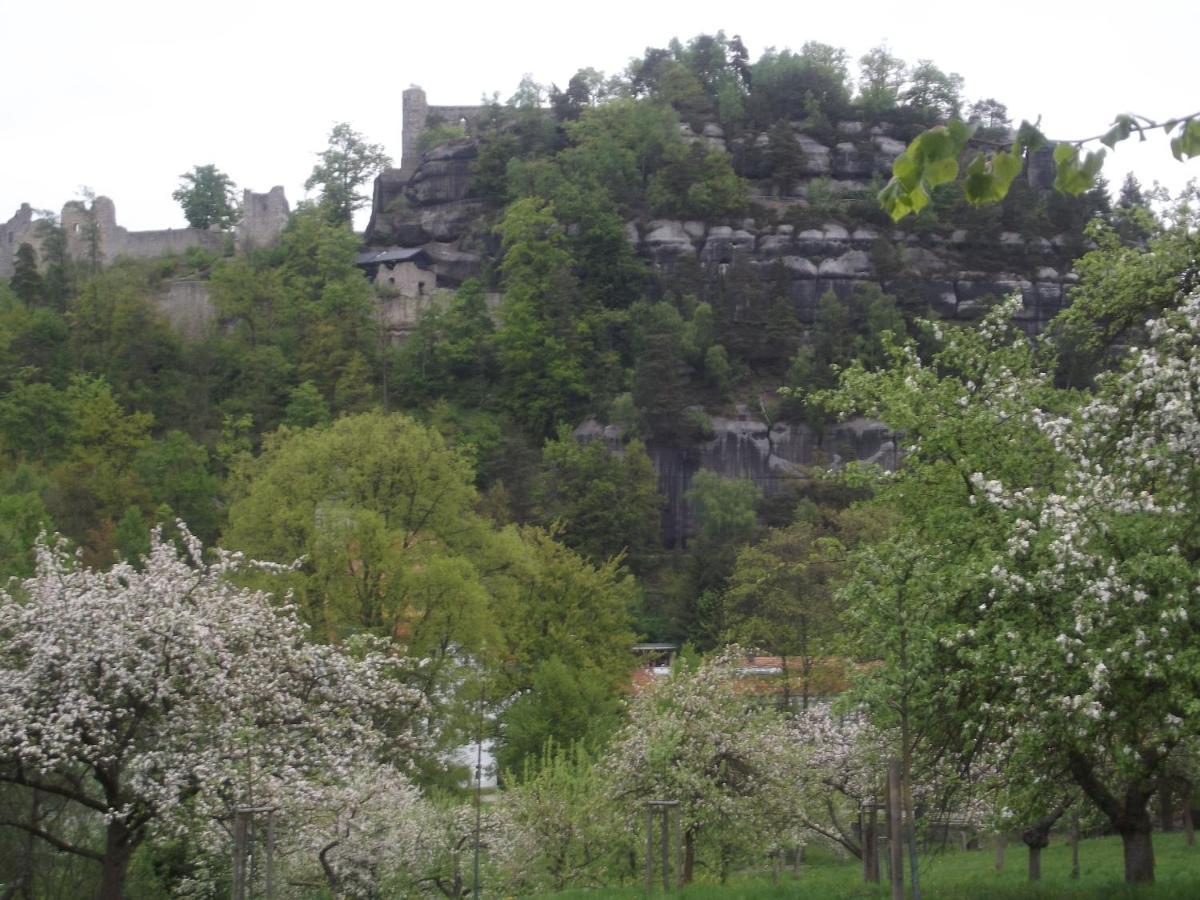 Hotel Zum Hecht Herrnhut Zewnętrze zdjęcie