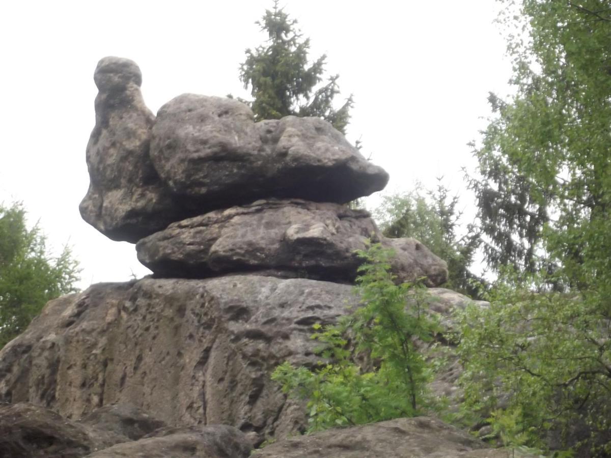 Hotel Zum Hecht Herrnhut Zewnętrze zdjęcie